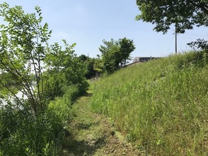 image2.jpeg